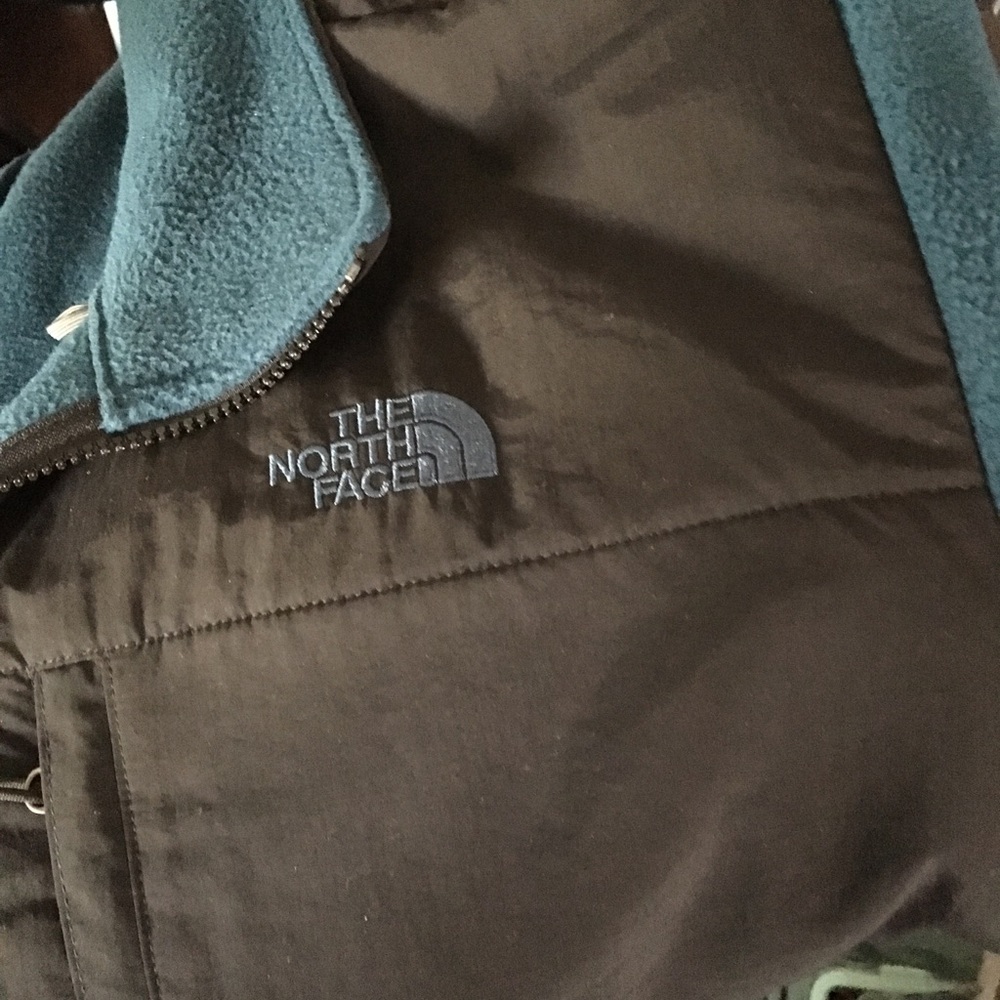The north face jacket